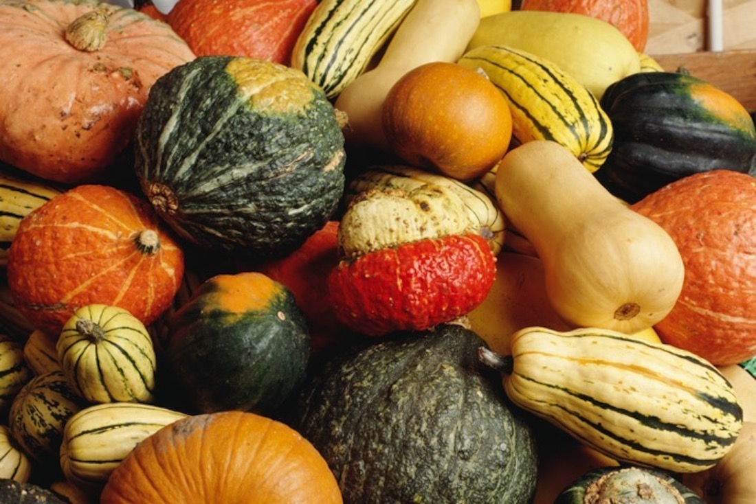seasonal produce
